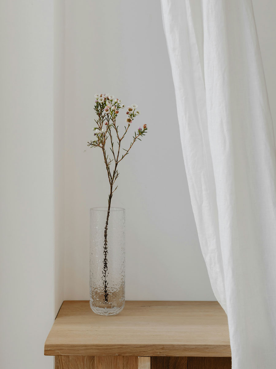 Scheinfasten: Zelluläre Verjüngung Vase mit Blüten