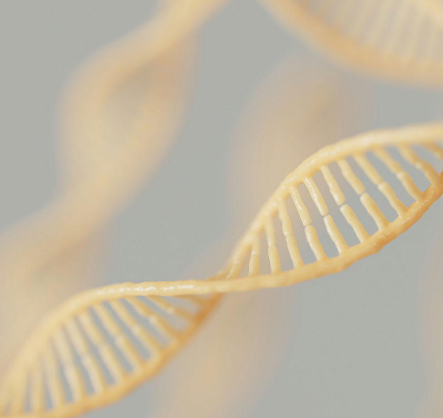 Genetik DNA