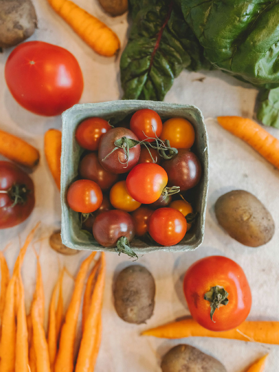 Tomaten und Möhren