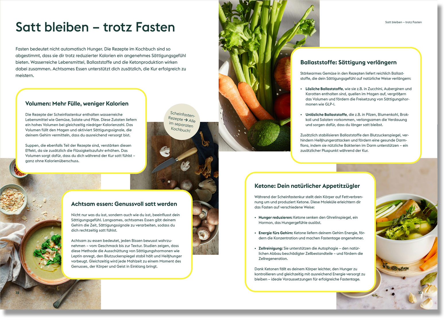 Ein Blick ins Scheinfastenbuch: Scheinfasten in der Praxis Beispielseite aus dem Scheinfastenbuch: Satt bleiben – trotz Fasten