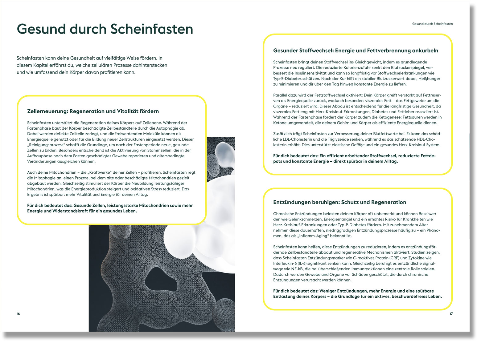 Beispielseite aus dem Scheinfastenbuch: Gesund mit Scheinfasten